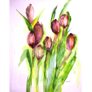 Tulips