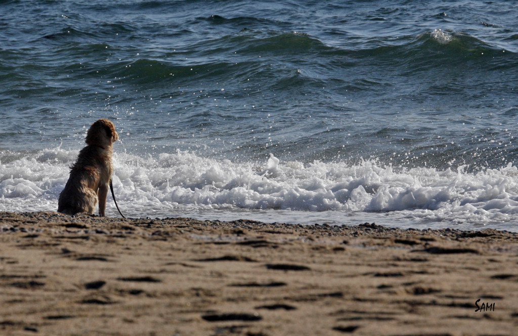 Emotional peace through watching the ocean