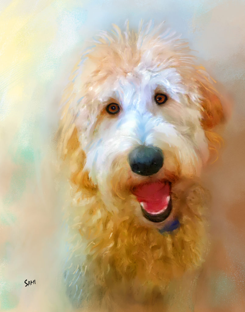 Golden Doodle Obie Portrait